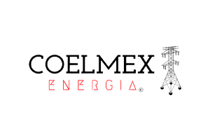 COELMEX Logo